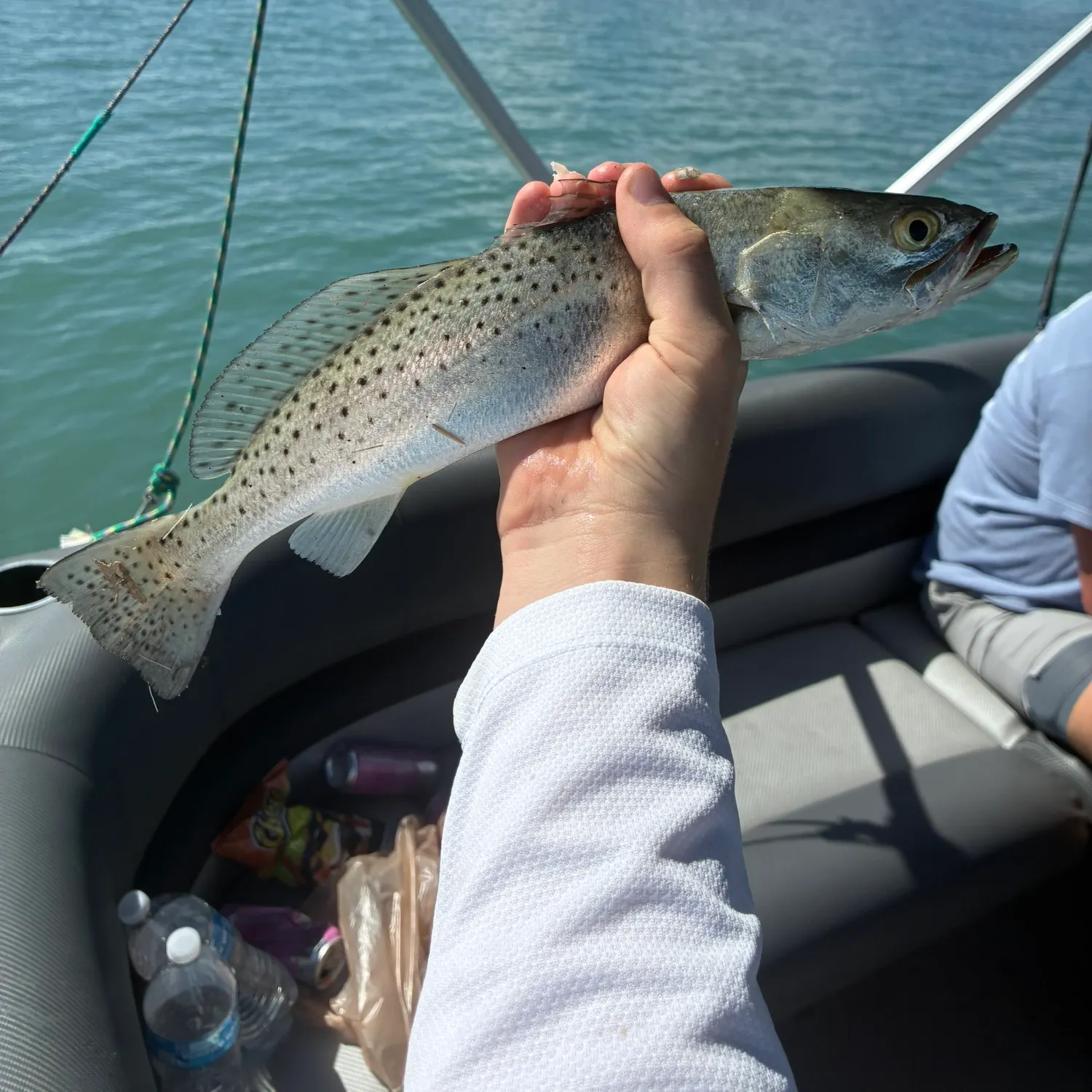 Spotted seatrout caught on Fishbrain