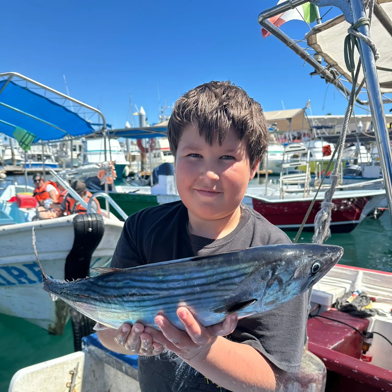 The most recent Skipjack tuna catches on Fishbrain