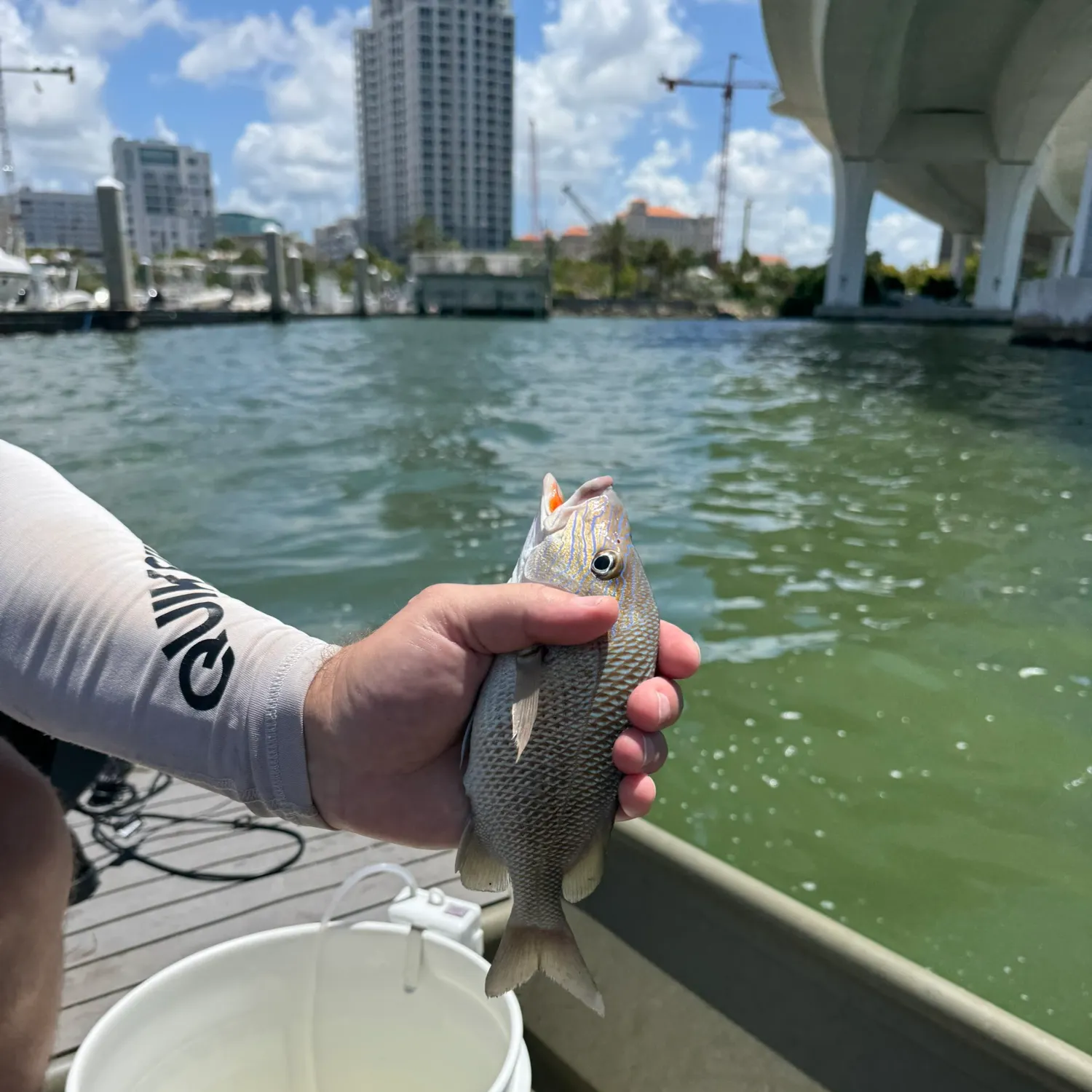 catch