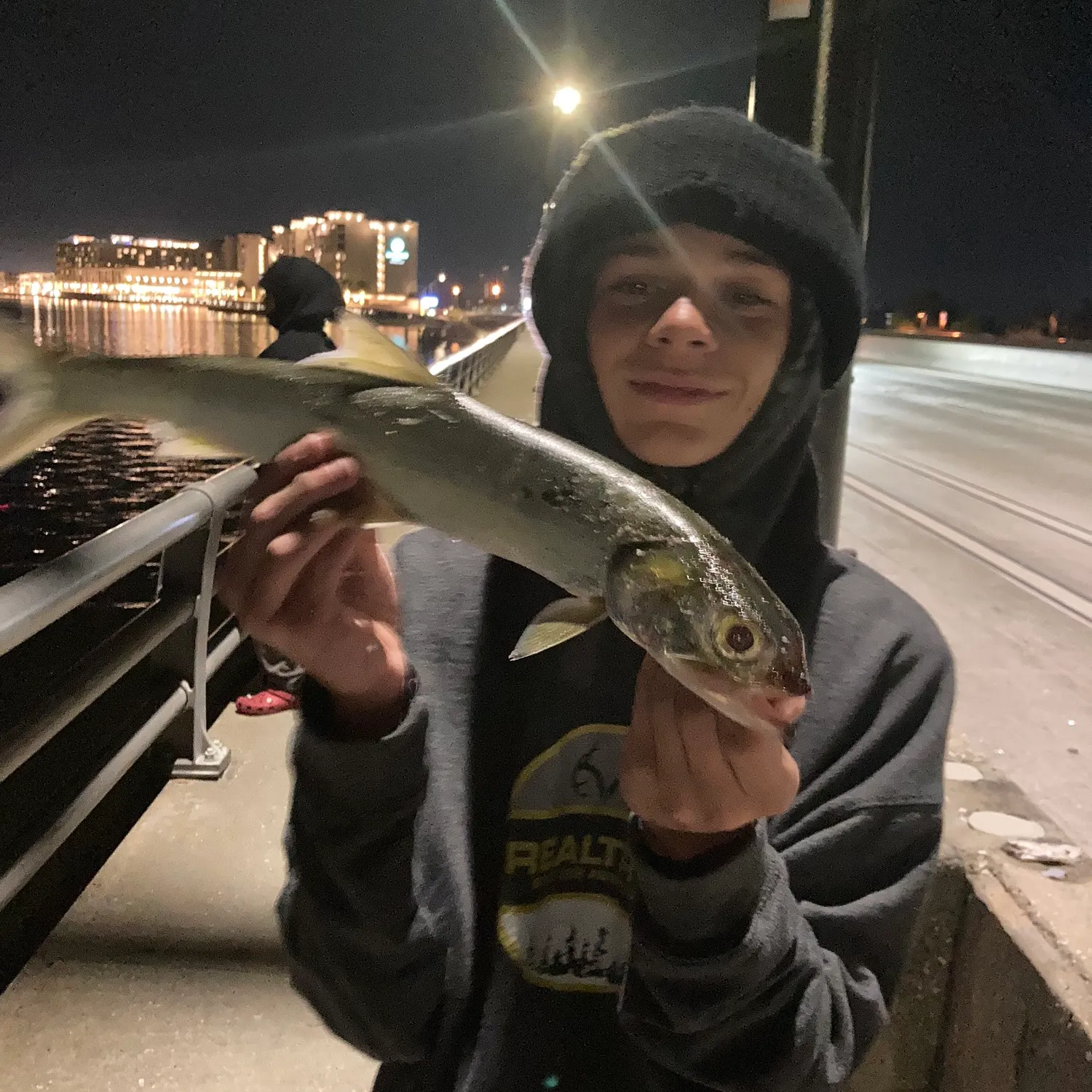 The most recent Ladyfish catches on Fishbrain