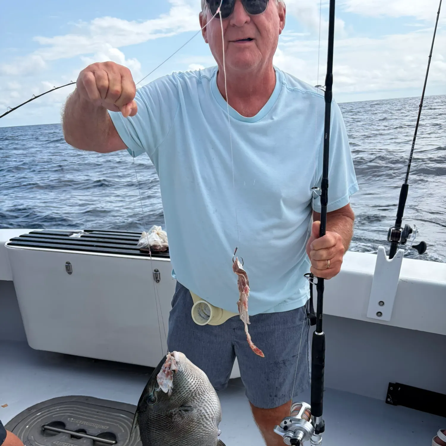 The most recent Grey triggerfish catches on Fishbrain