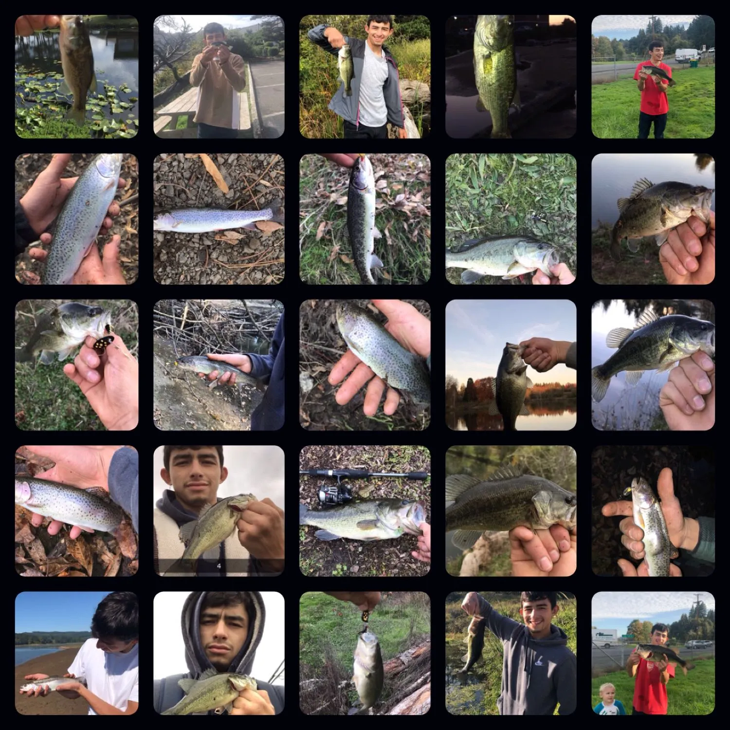 recently logged catches