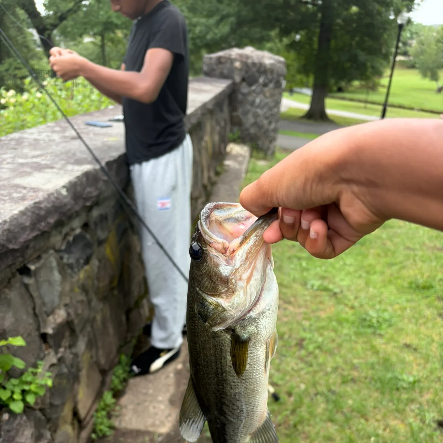 catch