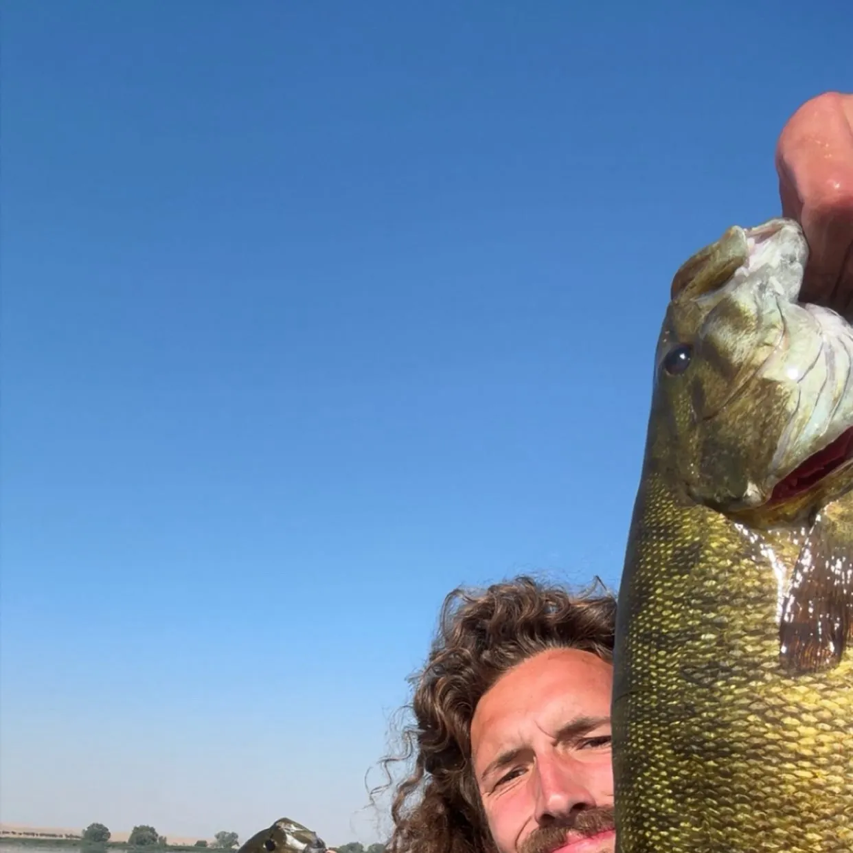 Smallmouth bass caught on Fishbrain