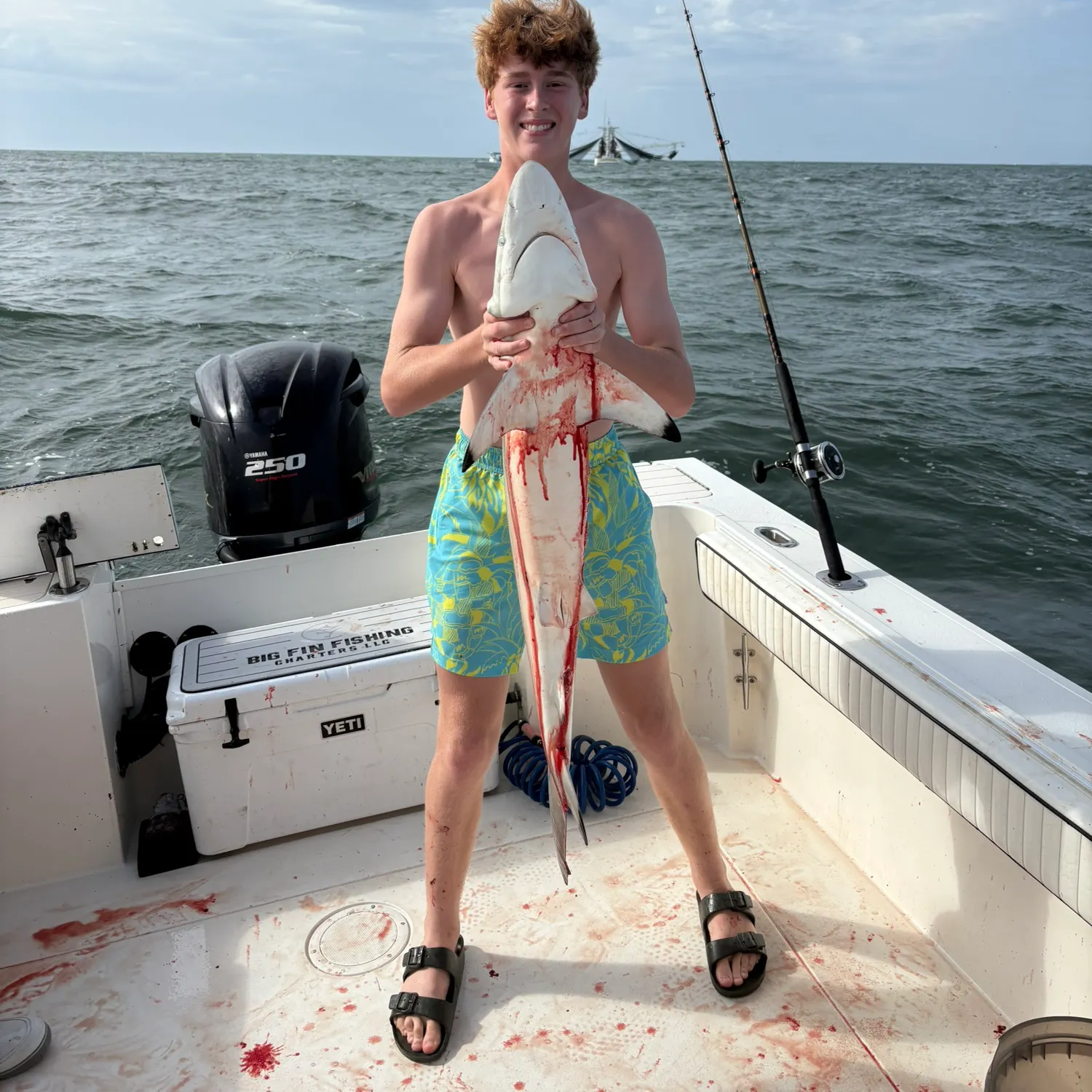 The most recent Blacktip reef shark catches on Fishbrain
