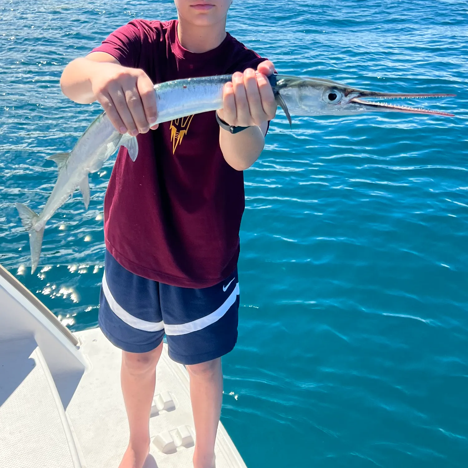 The most recent Hound needlefish catches on Fishbrain