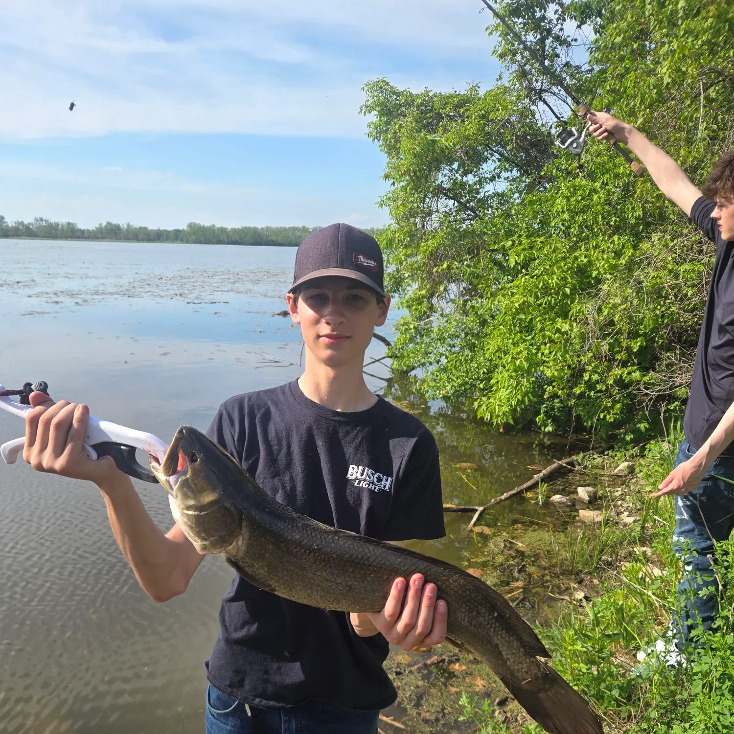 The most recent Eyetail bowfin catches on Fishbrain