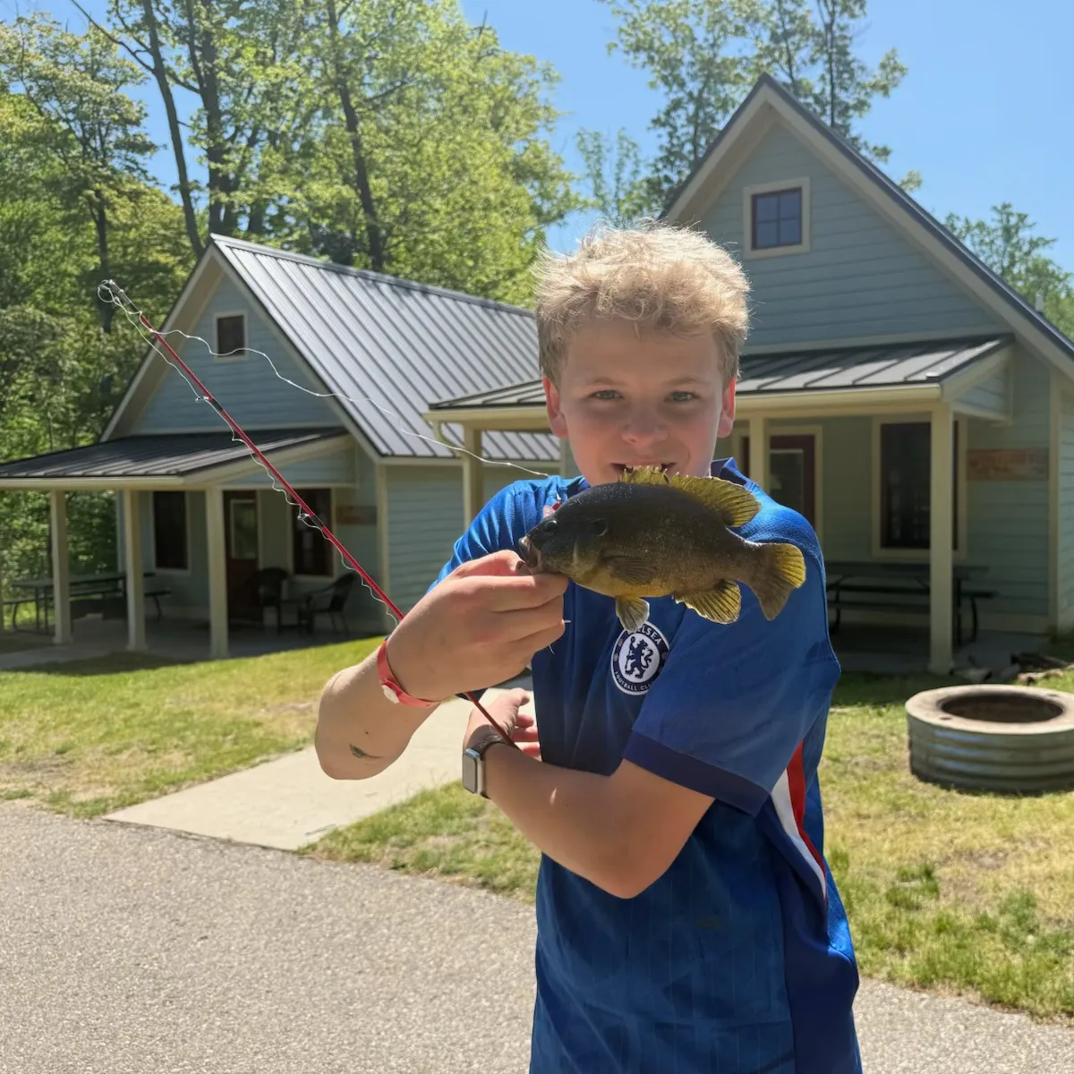 Warmouth caught on Fishbrain