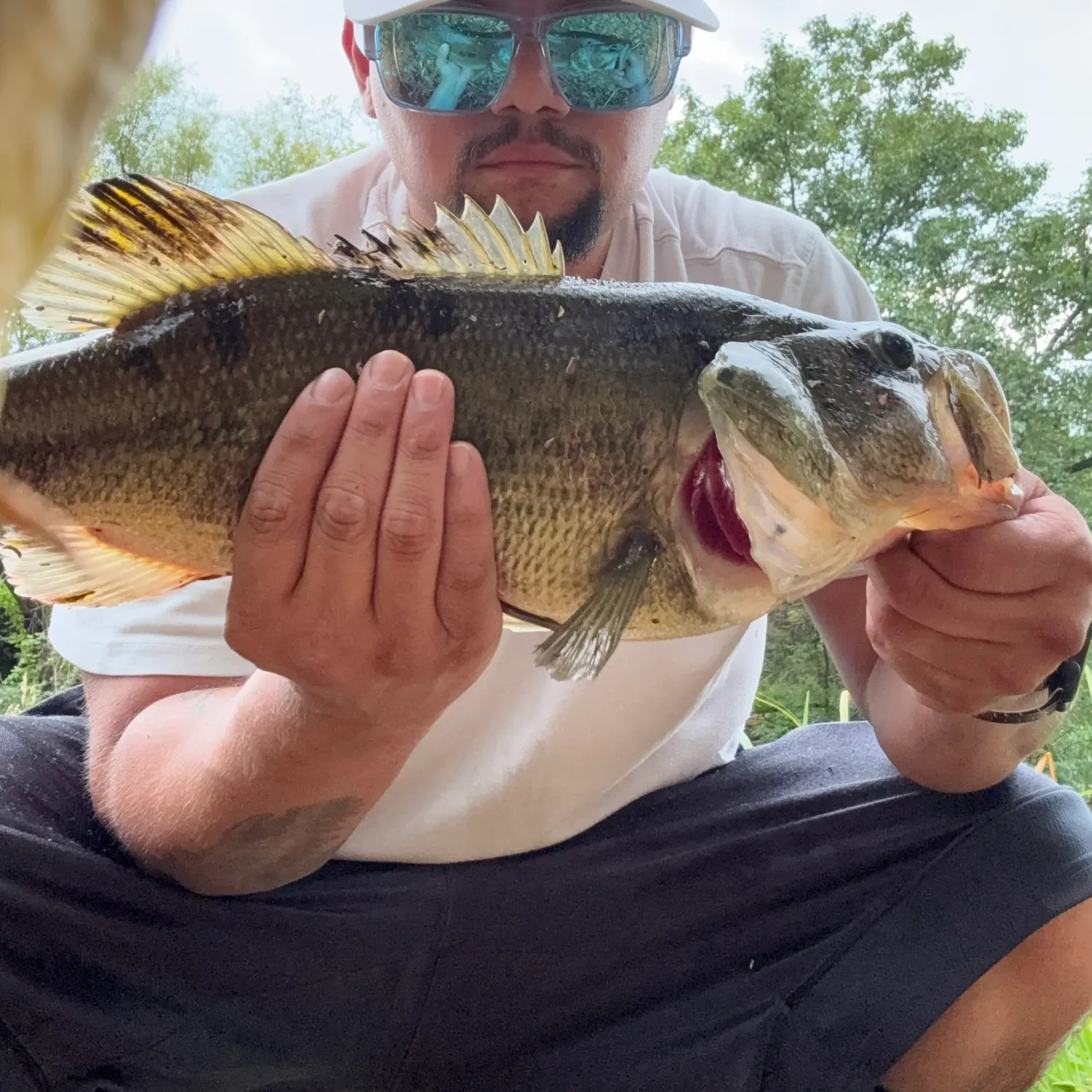 Largemouth bass caught on Fishbrain