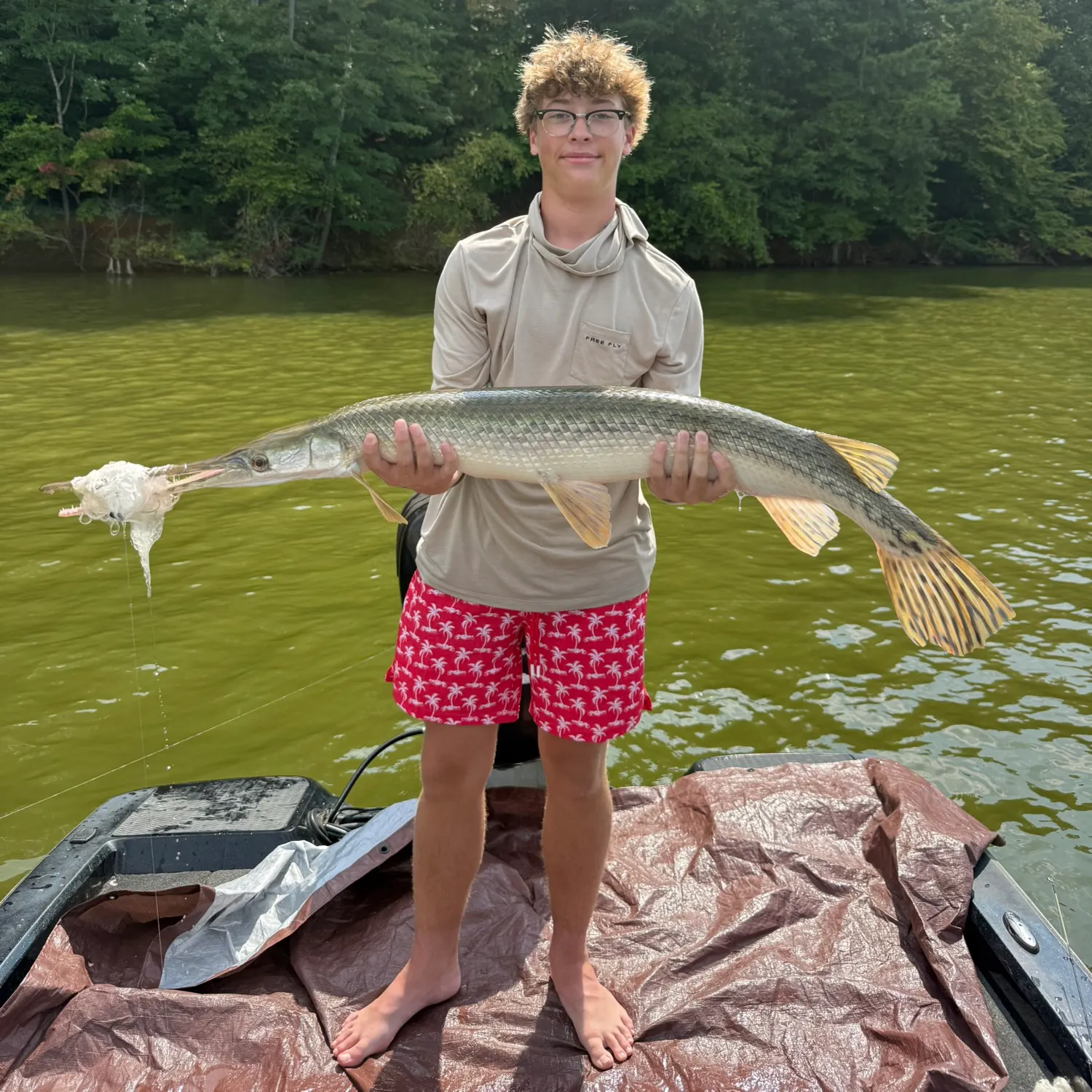 The most recent Longnose gar catches on Fishbrain