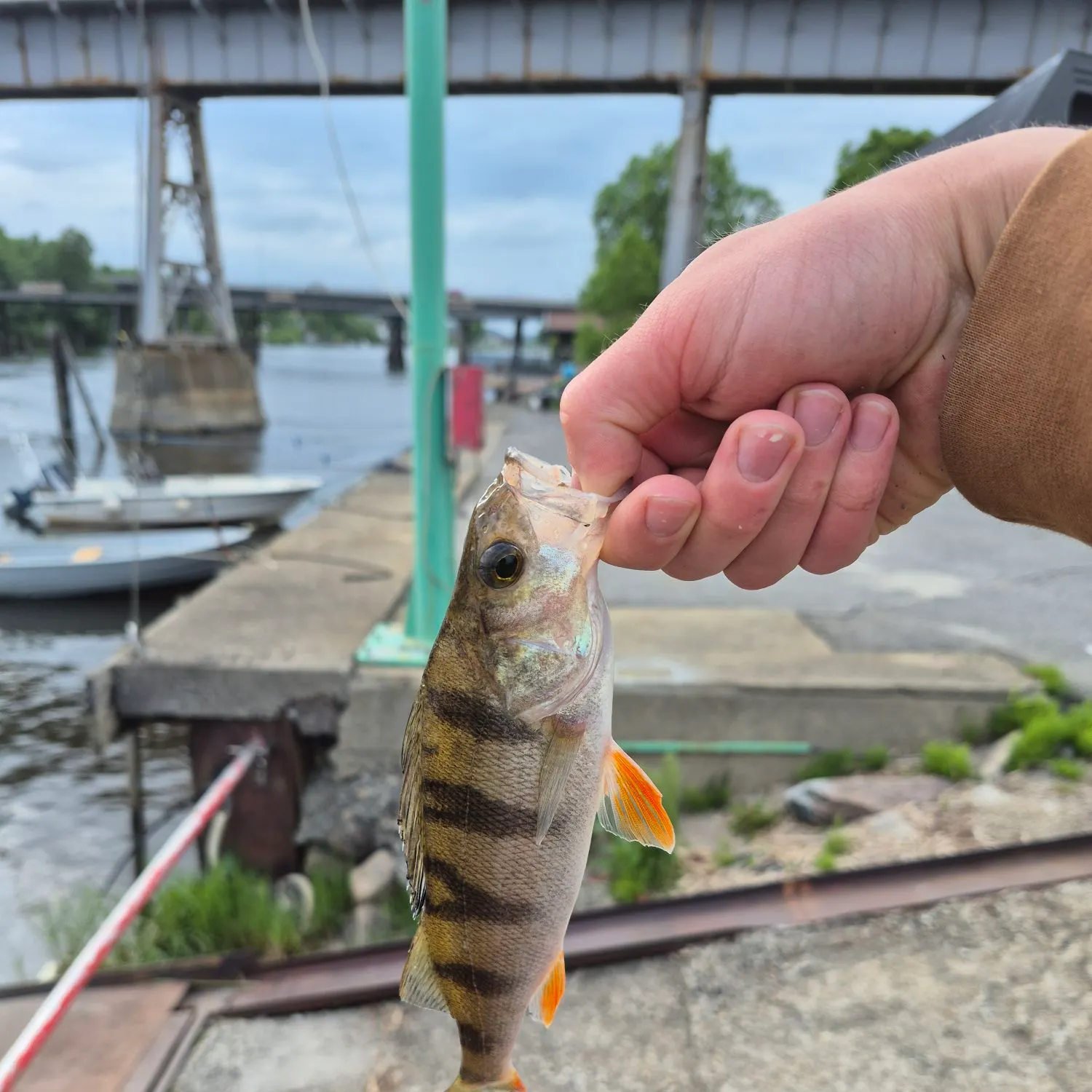 catch
