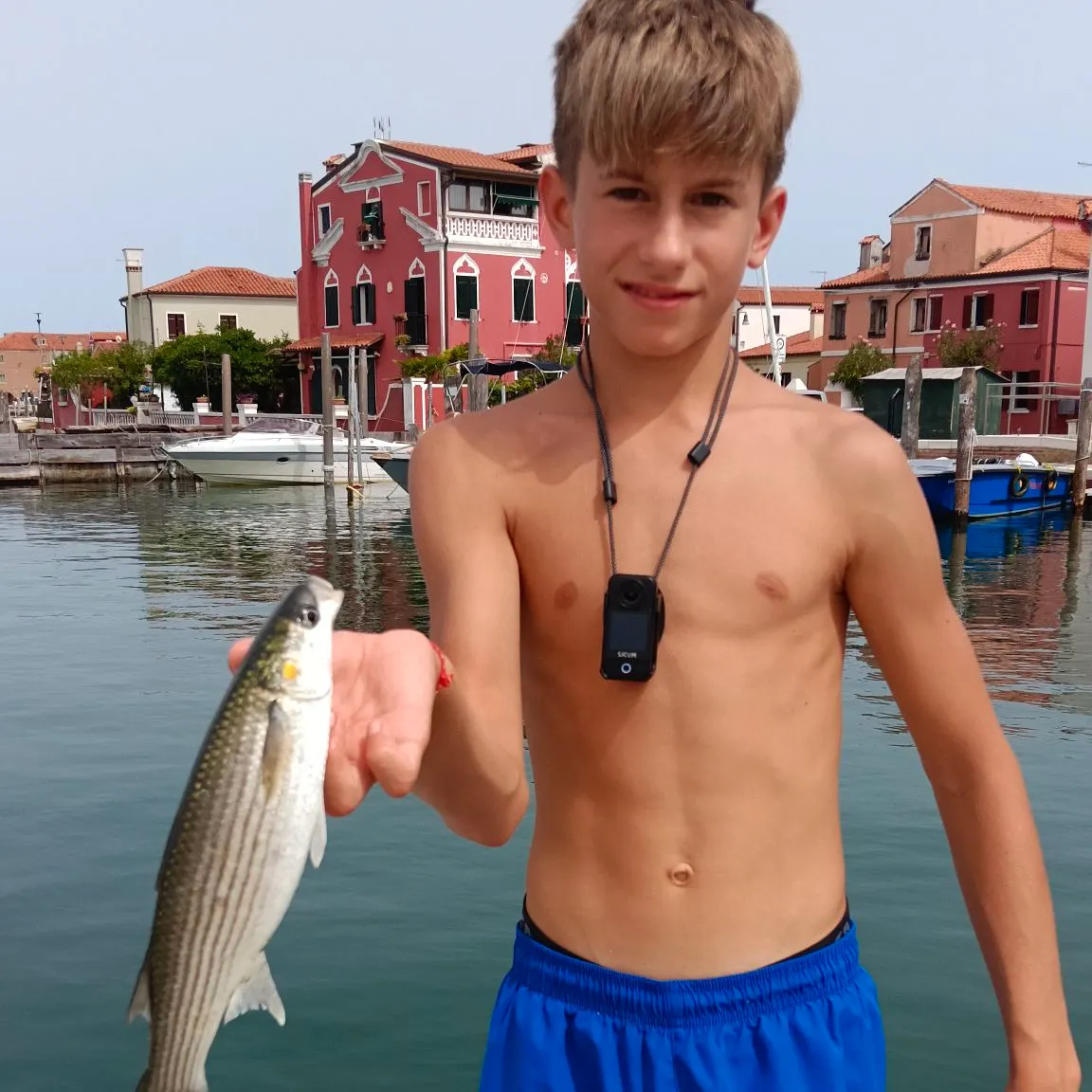 Thicklip grey mullet caught on Fishbrain