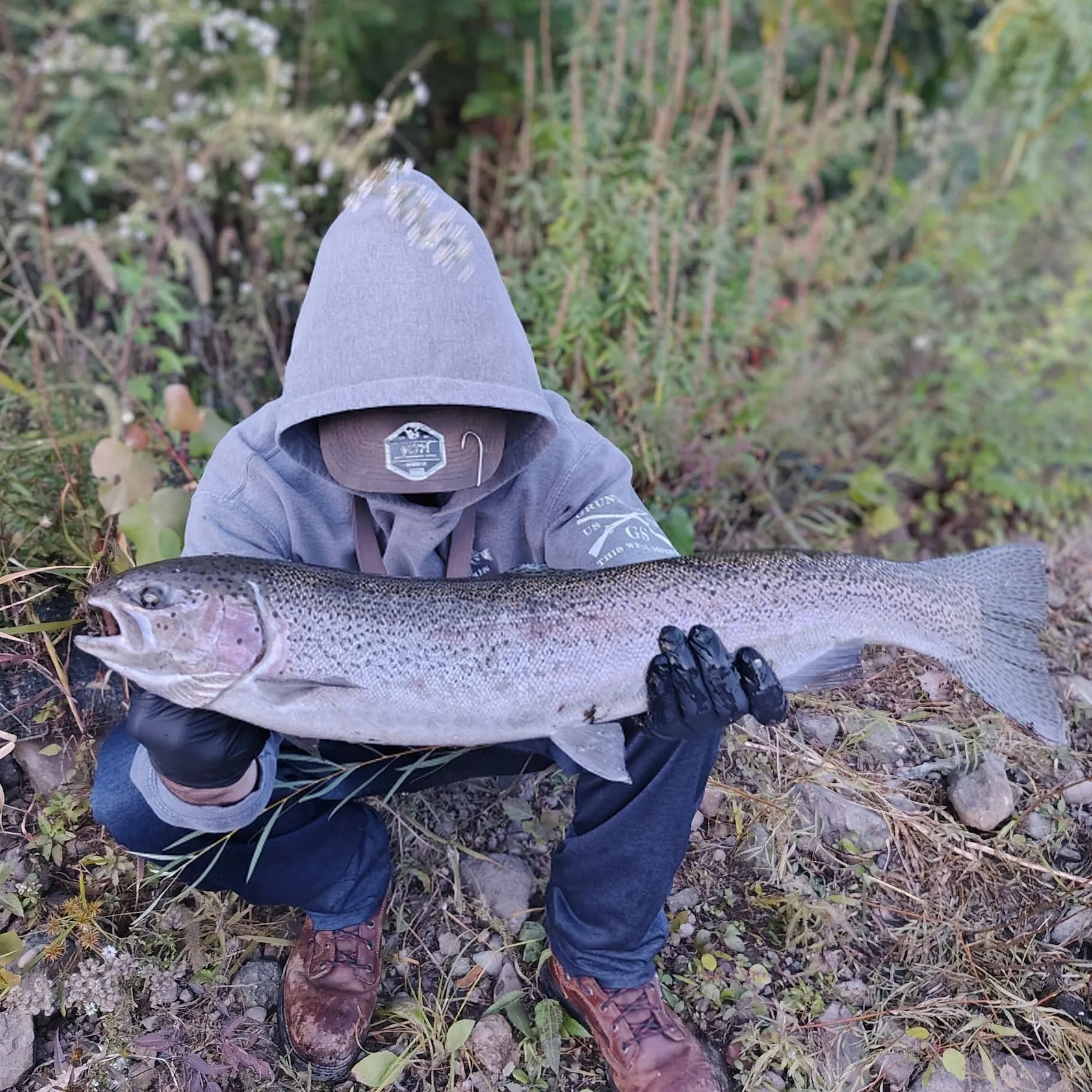 Steelhead caught on Fishbrain