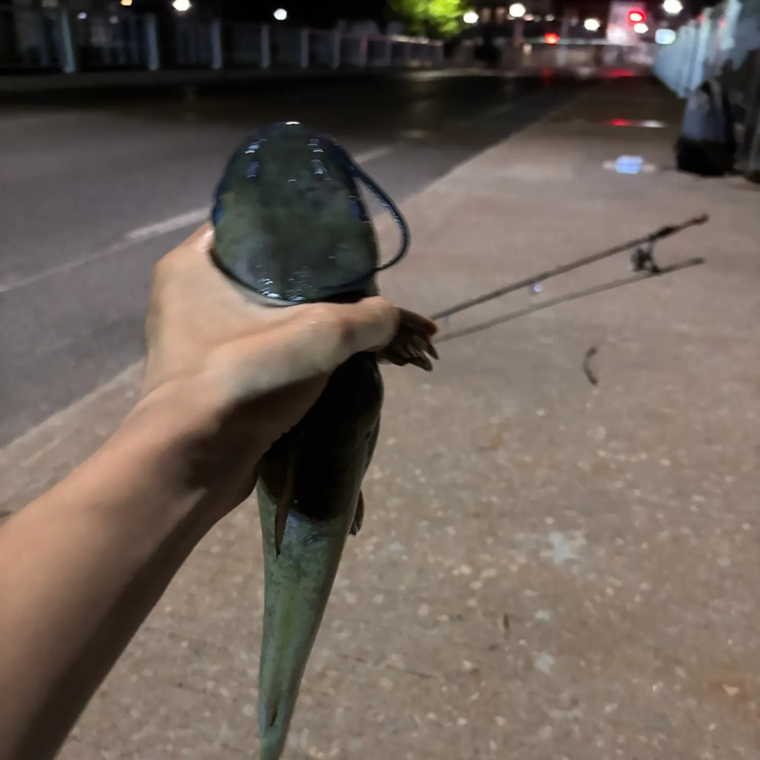 catch