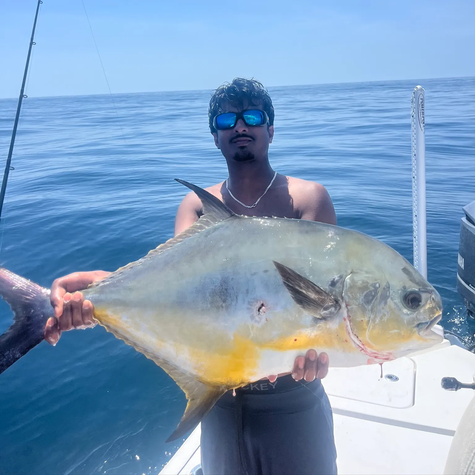 The most recent Permit catches on Fishbrain