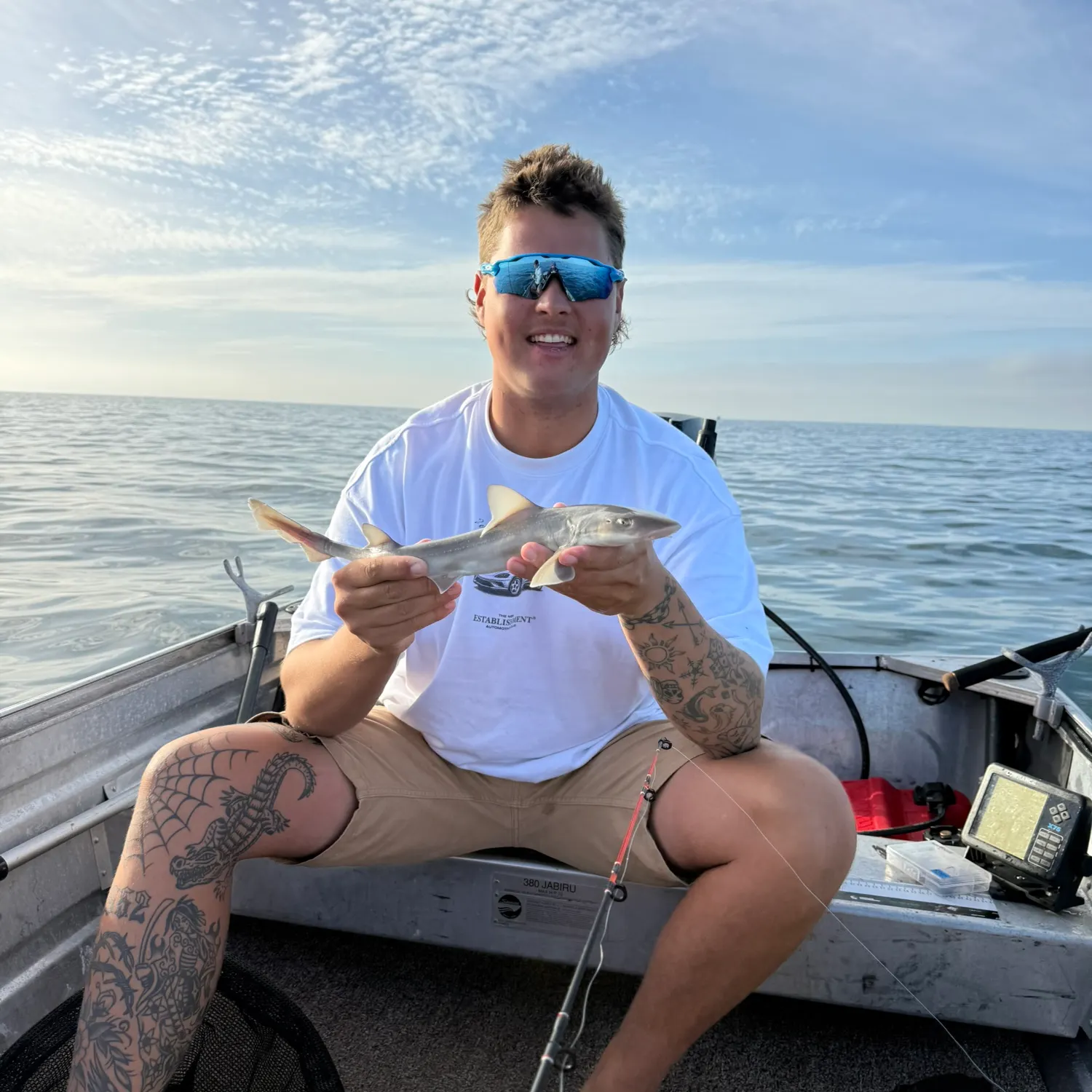 The most recent Gummy shark catches on Fishbrain