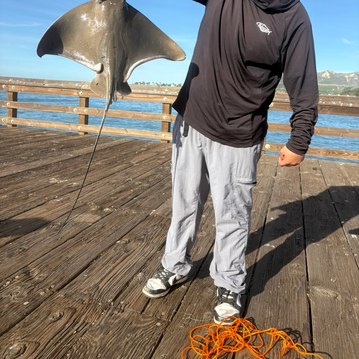 The most recent Bat eagle ray catches on Fishbrain