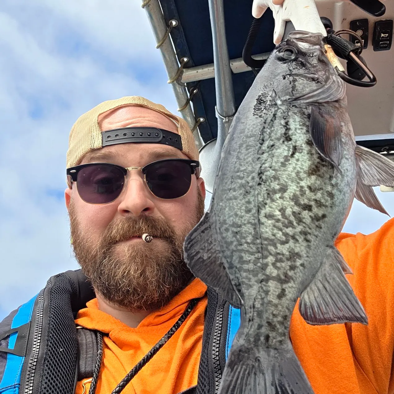 The most recent Blue rockfish catches on Fishbrain