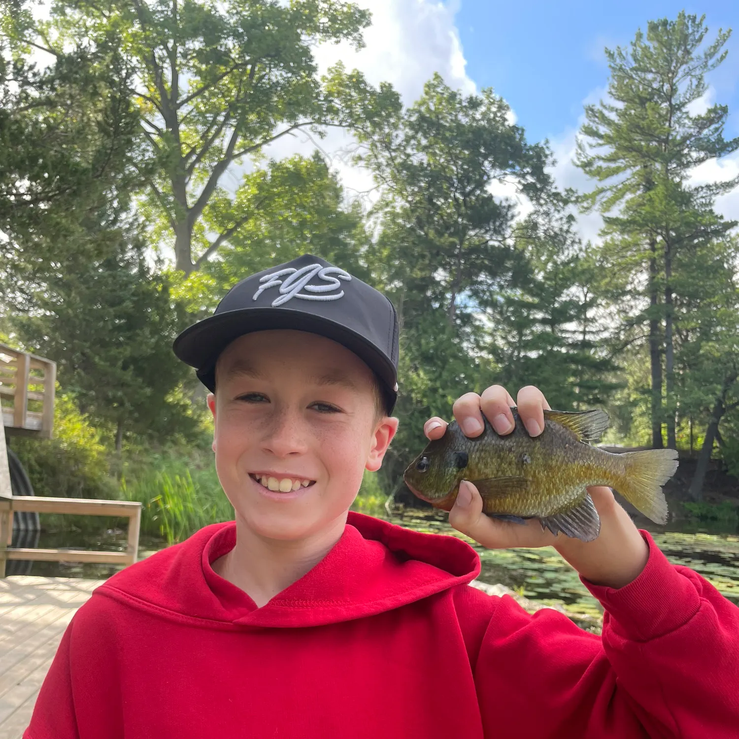 Bluegill caught on Fishbrain