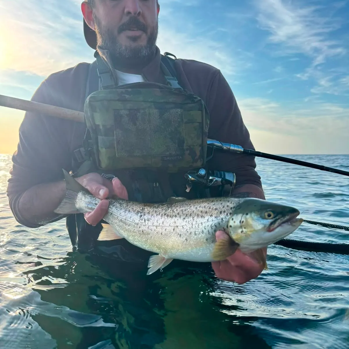 The most recent Sea trout catches on Fishbrain