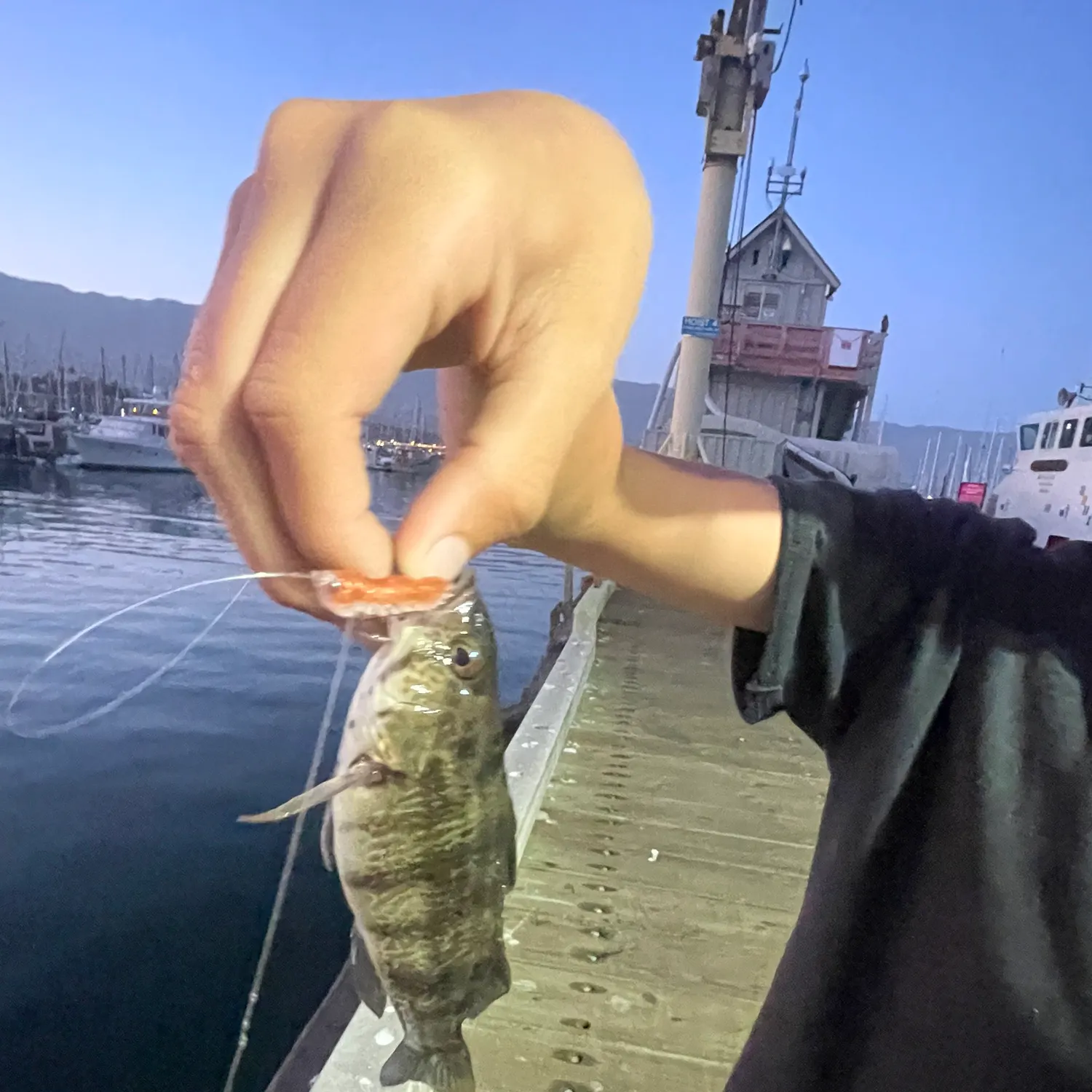catch