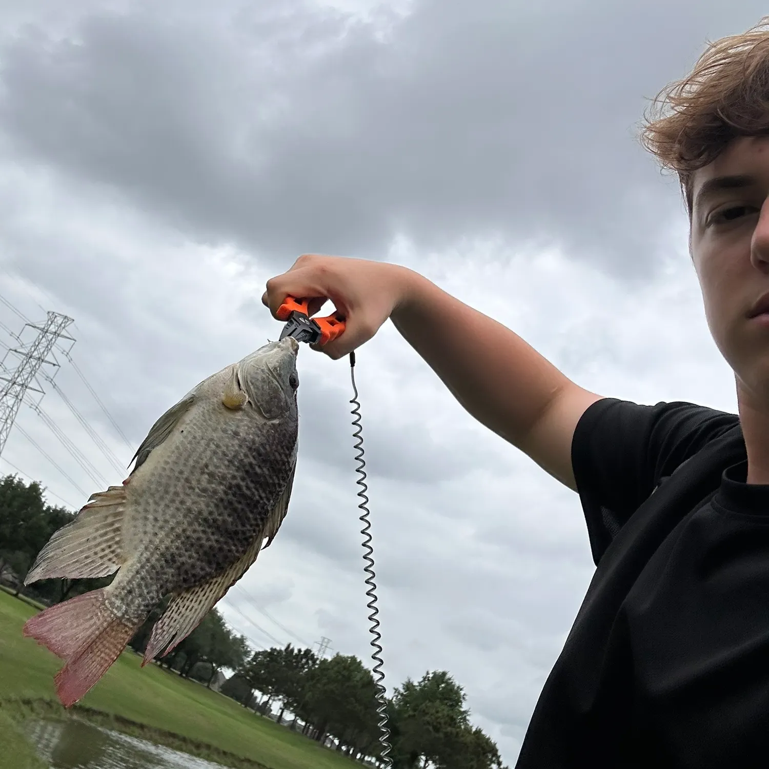 The most recent Kariba tilapia catches on Fishbrain