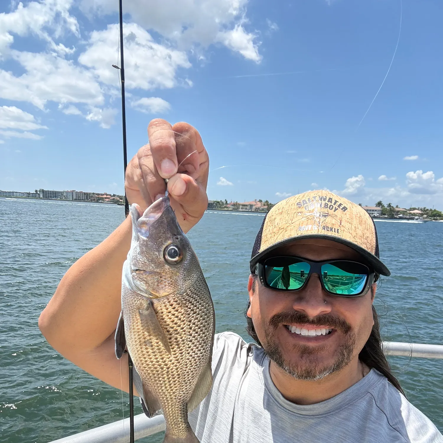 The most recent Sailor's choice grunt catches on Fishbrain