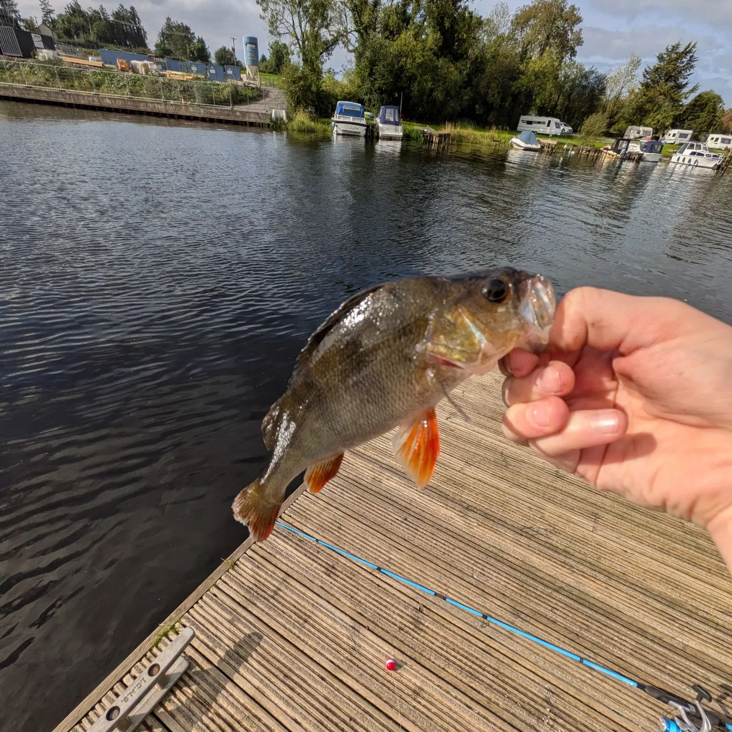 catch