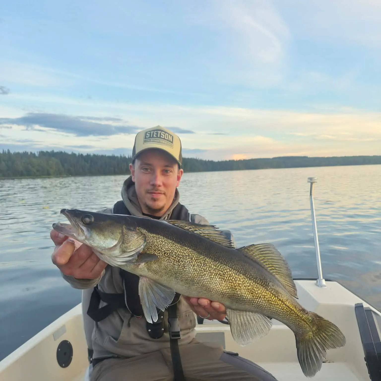 Zander caught on Fishbrain