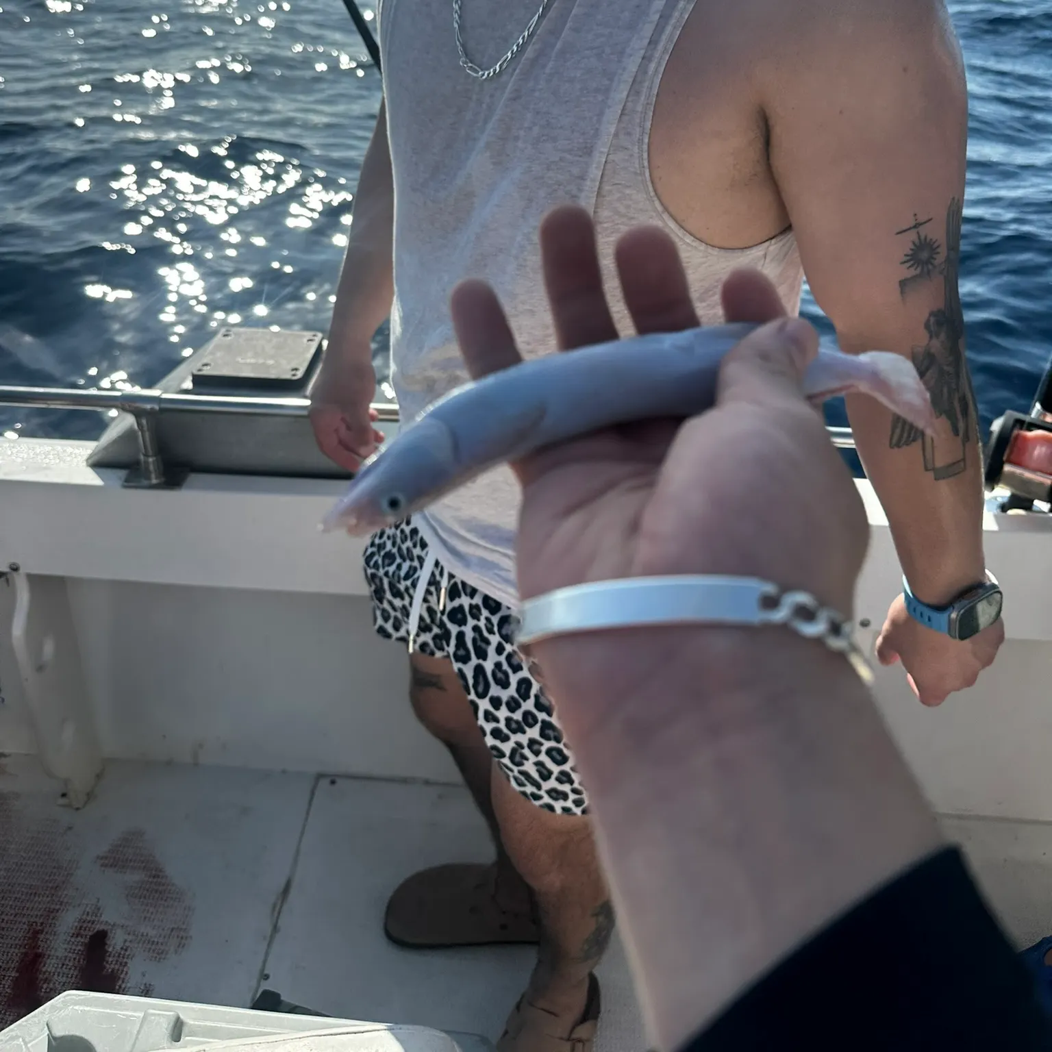 The most recent Slender suckerfish catches on Fishbrain