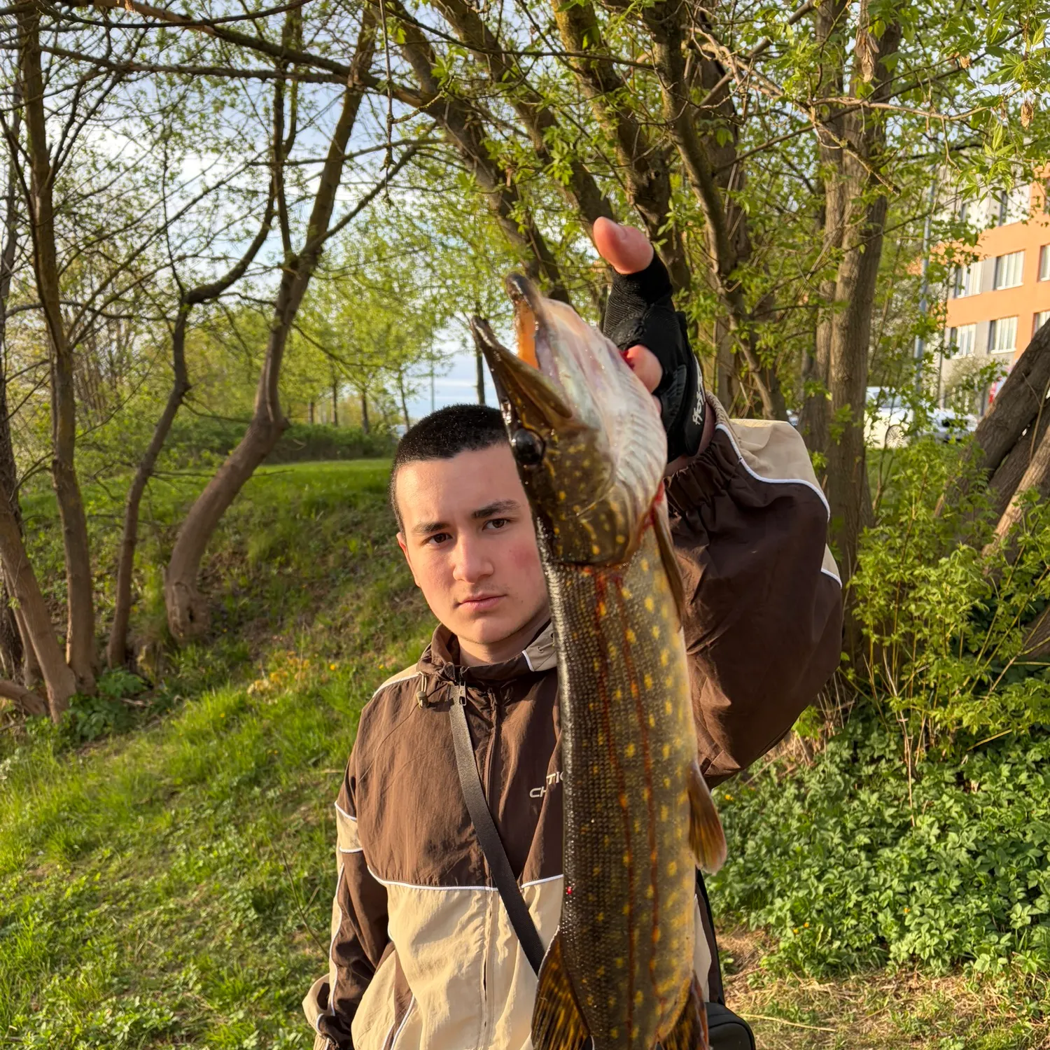 catch