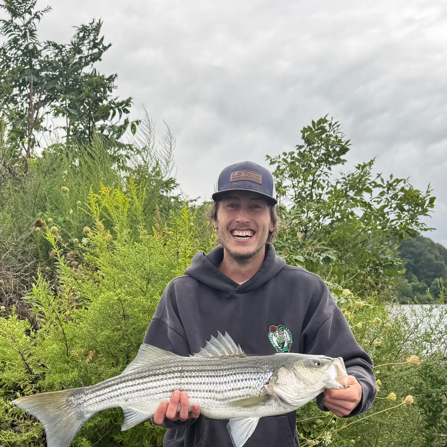 Striped bass caught on Fishbrain