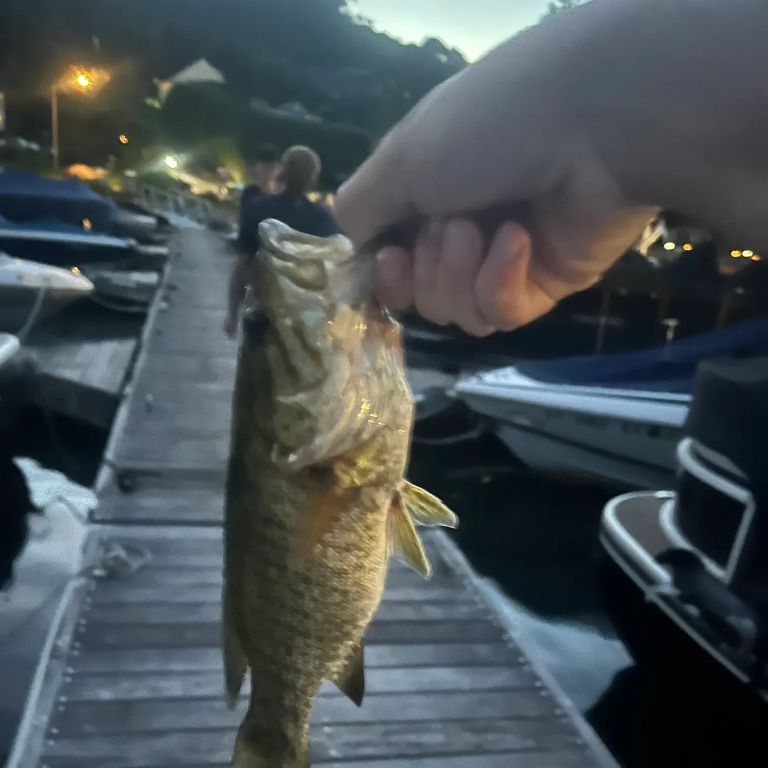 catch