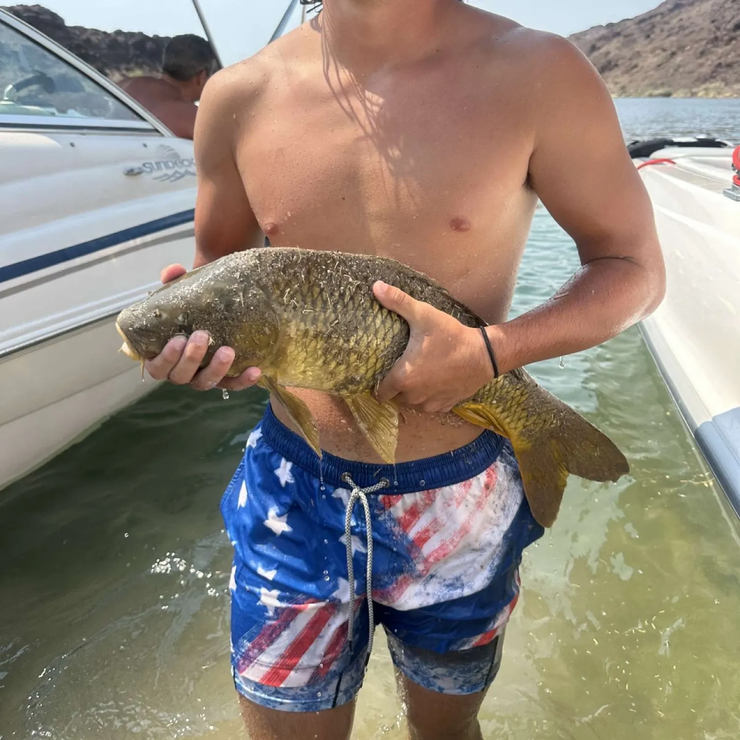 The most recent Common carp catches on Fishbrain