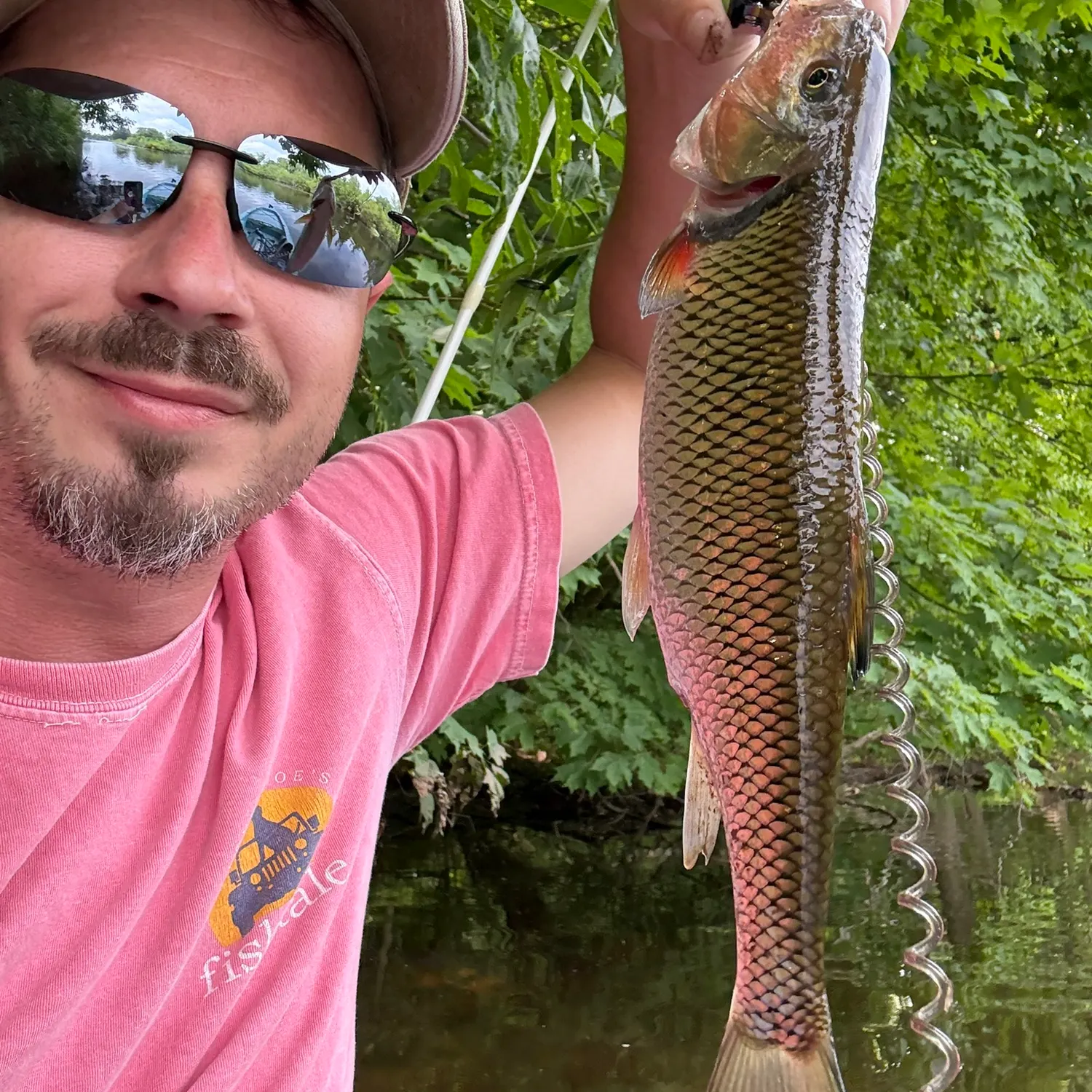 most liked catch image