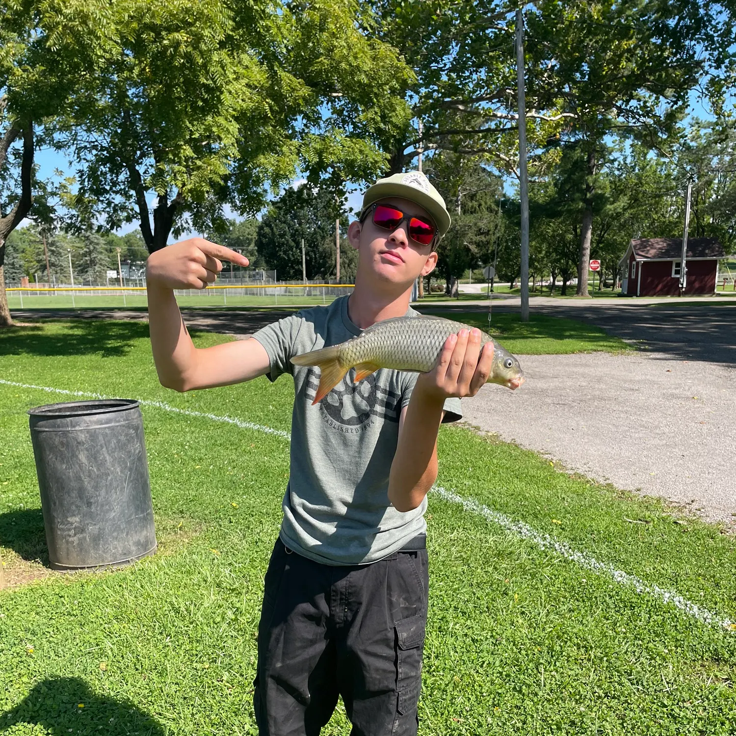 Common carp caught on Fishbrain