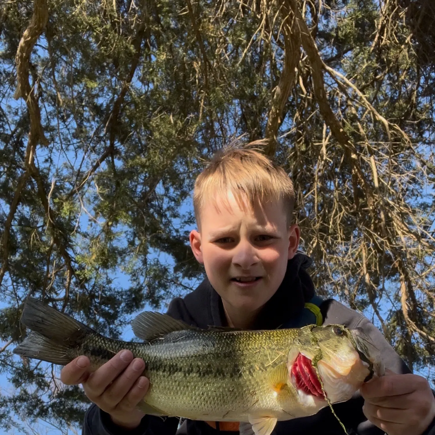 most liked catch image
