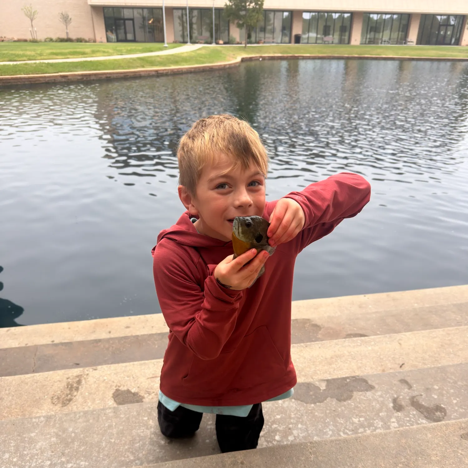 Green sunfish caught on Fishbrain