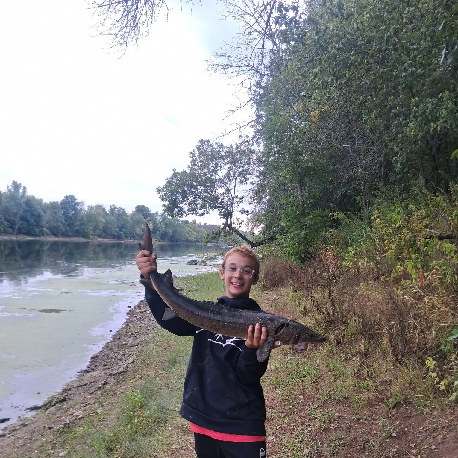 Lake sturgeon caught on Fishbrain