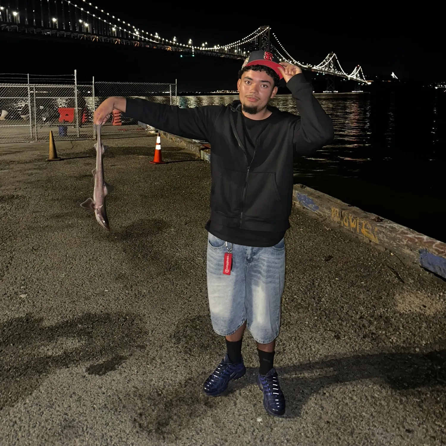 Brown smooth-hound caught on Fishbrain