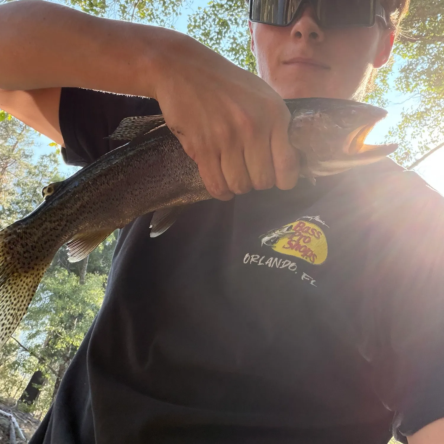 Rainbow trout caught on Fishbrain