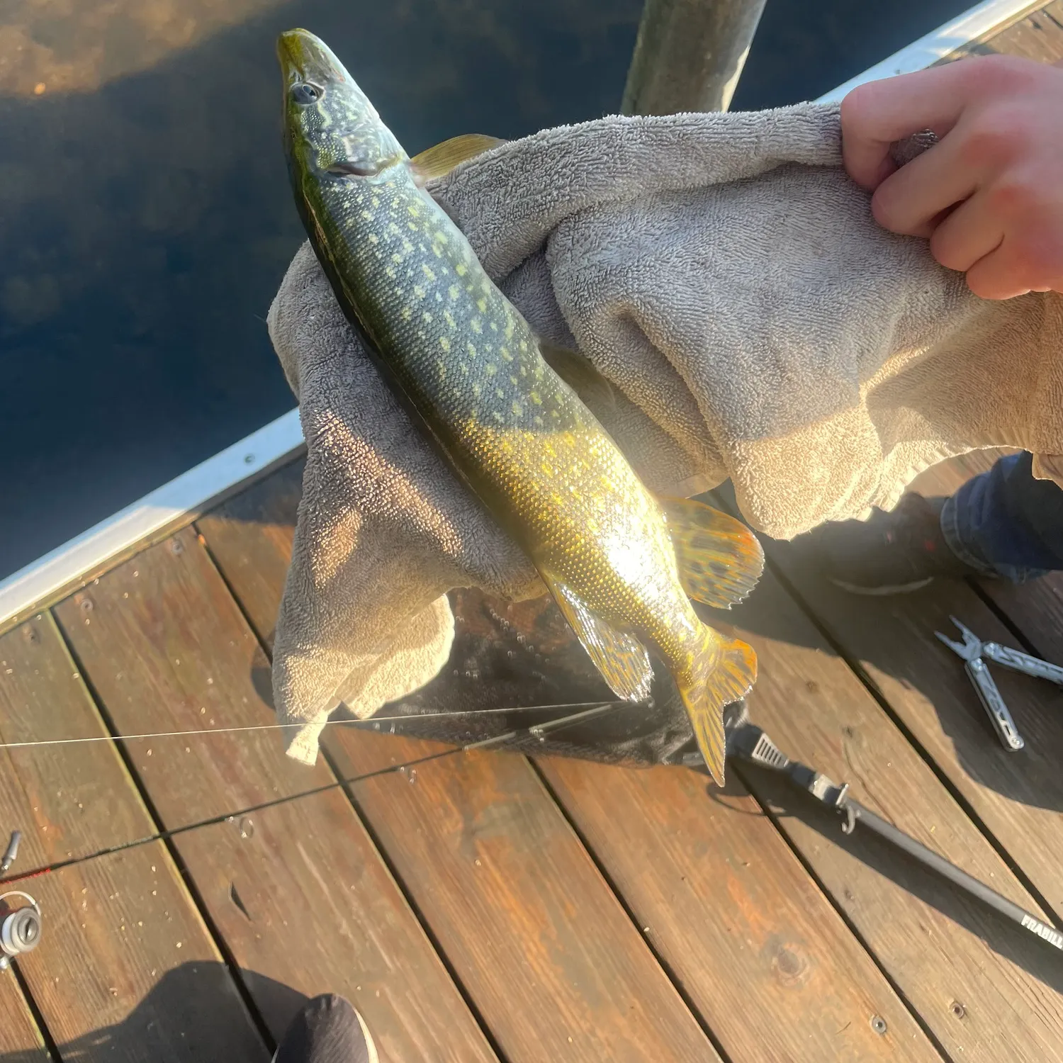 catch