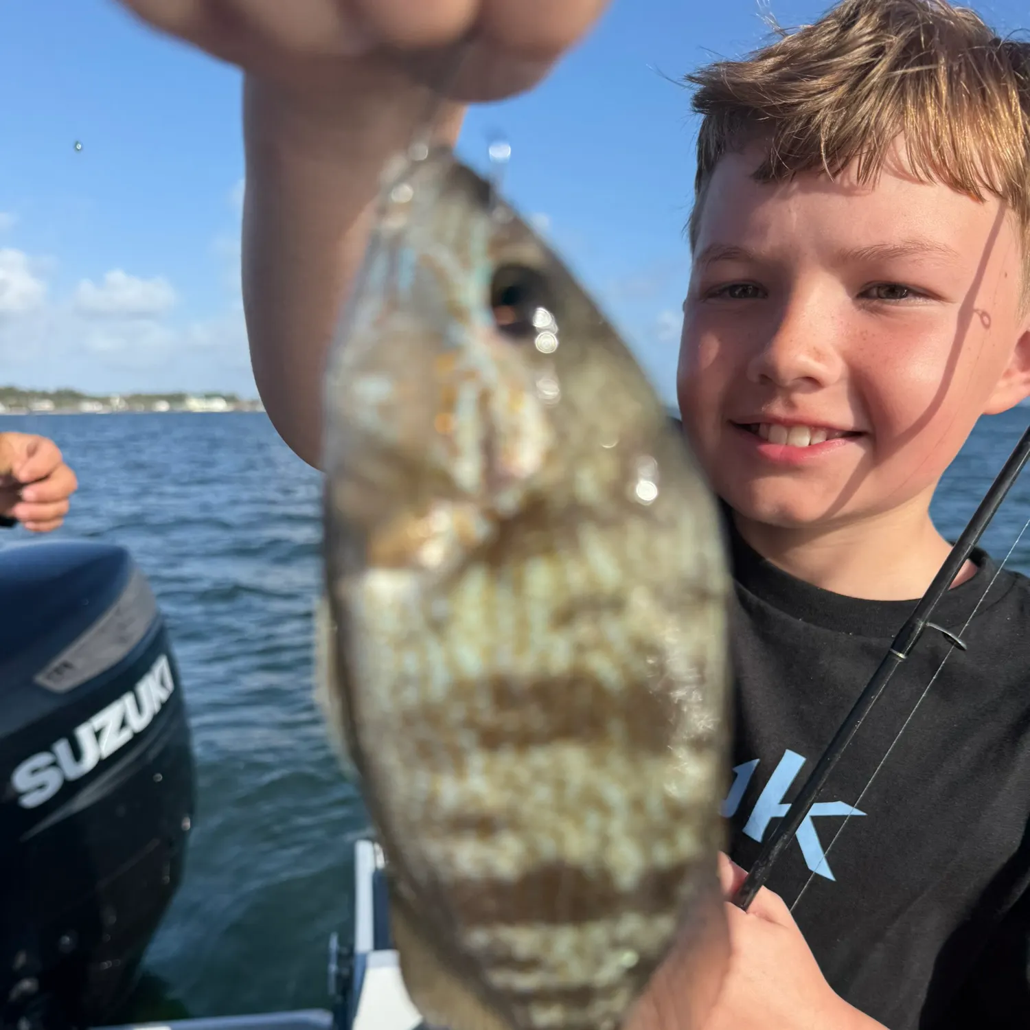 The most recent Pigfish catches on Fishbrain