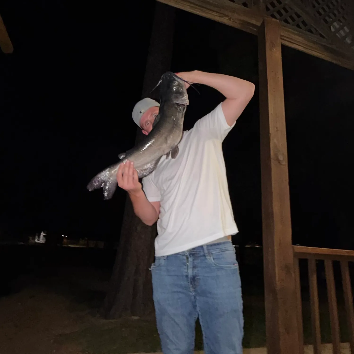 Blue catfish caught on Fishbrain
