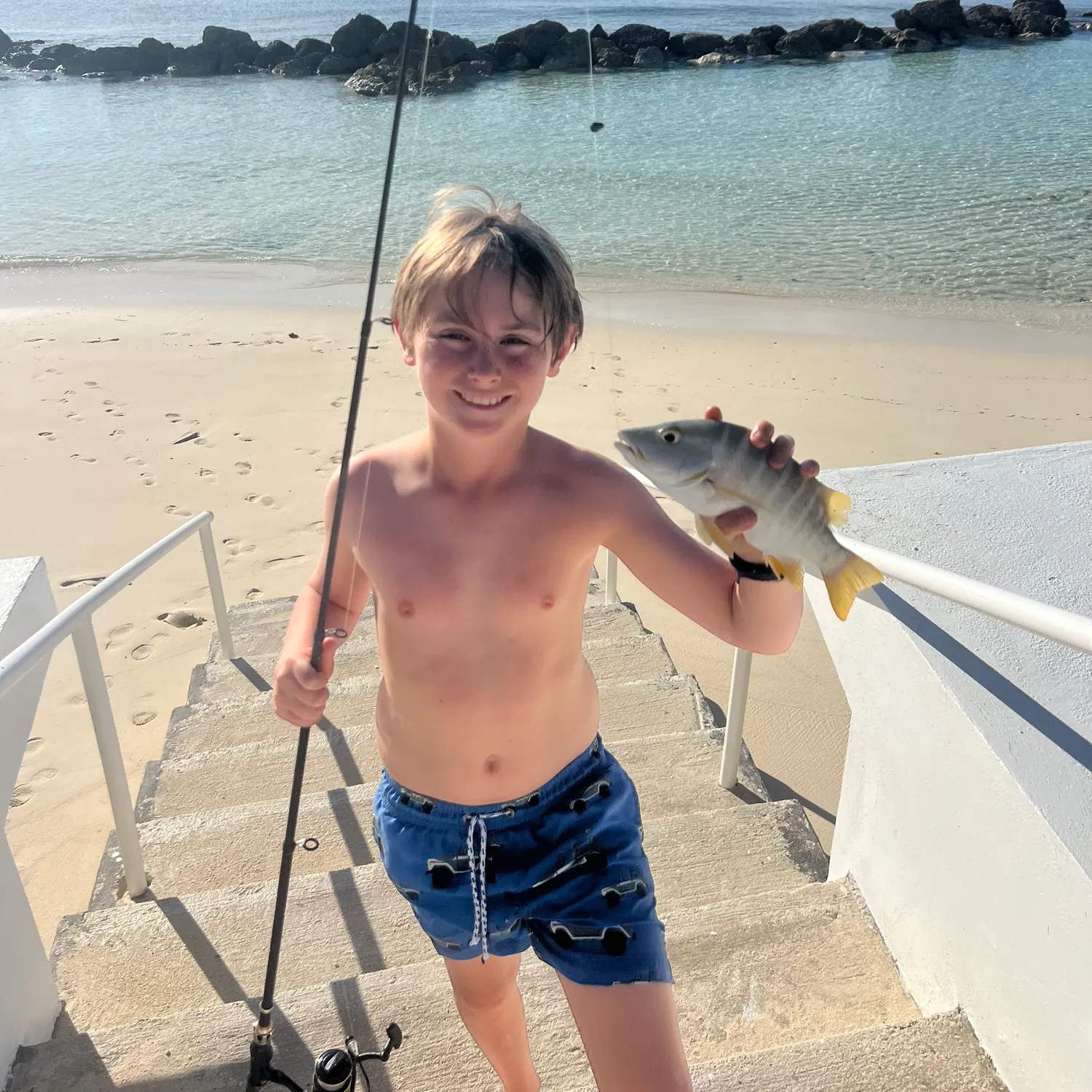 The most recent Schoolmaster snapper catches on Fishbrain