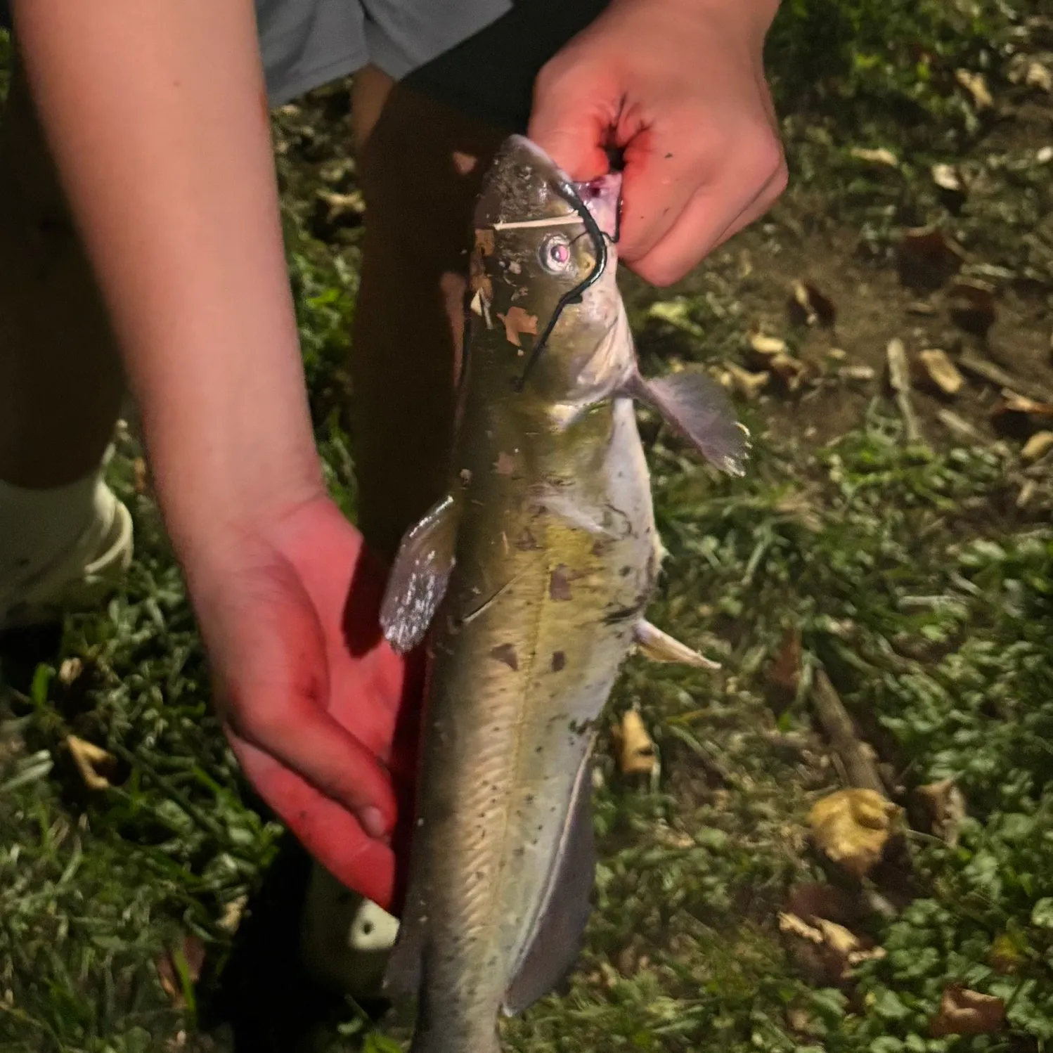 catch