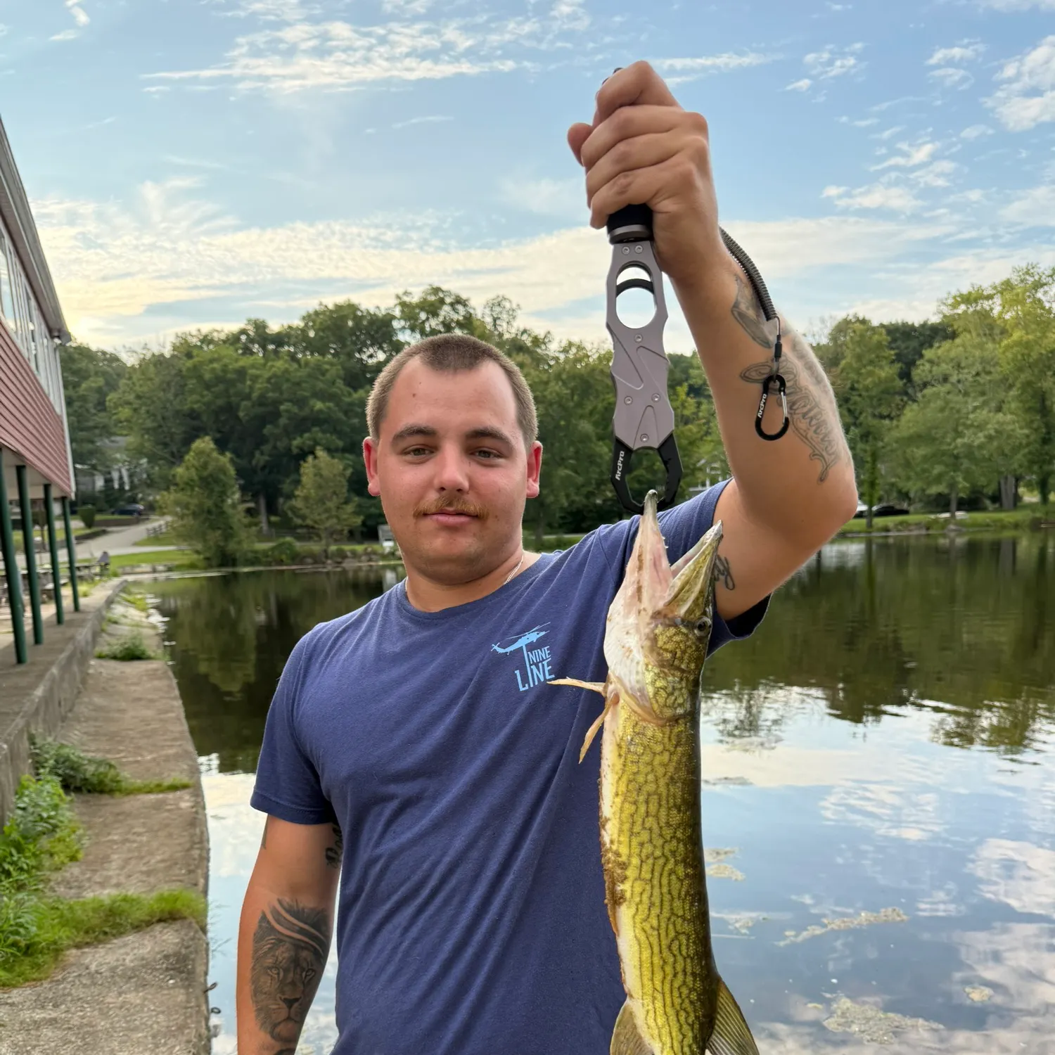 Chain pickerel caught on Fishbrain