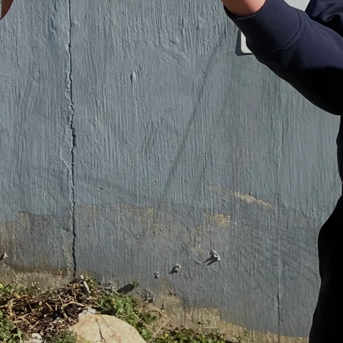 The most recent Common carp catches on Fishbrain