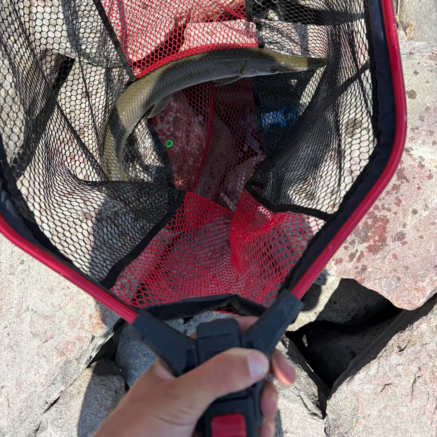 catch