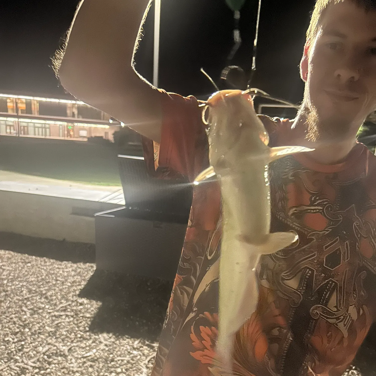 Channel catfish caught on Fishbrain
